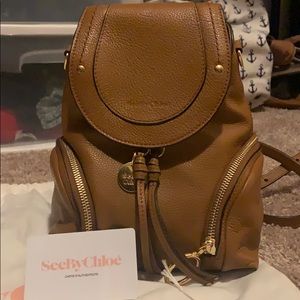 Used Mini See by Chloe Olga Backpack